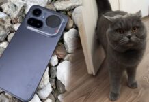 Review Nothing Phone 4a Pro: telefon original cu carcasă metalică și Glyph Matrix review-nothing-phone-(4a)-pro-–-un-telefon-original-cum-rar-se-mai-intampla-in-2026.-carcasa-metalica,-zoom-mare-si-glyph-matrix-care-intoarce-priviri