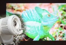 Proiectorul XGIMI Vibe One cu baterie integrată, cu funcție boxă Bluetooth review-xgimi-vibe-one-cu-baterie-integrata-–-cand-proiectorul-ultraportabil-tine-loc-de-boxa-bluetooth-si-lumina-de-desteptare.-de-ce-ar-putea-fi-solutia-all-in-one-de-divertisment-la-care-visai