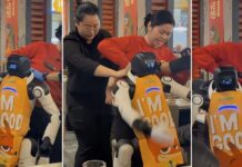 Robot umanoid a distrus obiecte într-un restaurant după ce a scăpat de sub control video:-un-robot-umanoid-a-scapat-de-sub-control-intr-un-restaurant-si-a-facut-praf-tot-ce-i-a-iesit-in-cale