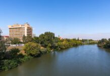 Animal sălbatic observat frecvent în oraș, oameni evita să iasă din case animalul-salbatic-vazut-tot-mai-des-intr-un-oras-din-romania.-oamenii-se-tem-sa-iasa-din-case,-chiar-si-ziua