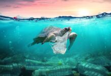 Cercetătorii confirmă prezența plasticului dispărut din oceane, situație mai gravă decât se credea plasticul-disparut-din-oceane-a-fost-gasit,-iar-vestea-este-mai-grava-decat-se-credea.-ce-au-aflat-cercetatorii