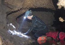 Capsulă a timpului din era glaciară descoperită cu animale uriașe disparute descoperire-spectaculoasa:-o-capsula-a-timpului-din-era-glaciara-scoate-la-iveala-animale-uriase-disparute