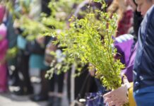 Obiceiul tradițional de sâmbăta dinaintea Florii pentru belșug în casă ce-se-face-in-sambata-de-dinainte-de-florii-pentru-belsug-in-casa.-obiceiul-stramosesc-de-care-multi-au-uitat