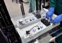 Experiment cu neuroni umani pentru dezvoltarea inteligenței artificiale neuroni-umani,-folositi-pentru-computere.-experimentul-care-ar-putea-schimba-inteligenta-artificiala