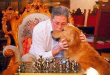 Cornel Dinu critică naționala și federația: Burleanu, măscărici și Ianis Hagi limitat la familie cornel-dinu-a-dat-de-pamant-cu-nationala-si-federatia:-burleanu-e-un-mascarici!-ianis-hagi-poate-doar-la-el-in-familie