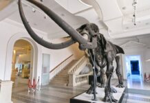 Programul muzeelor din București de Paște programul-de-paste-al-principalelor-muzee-din-bucuresti