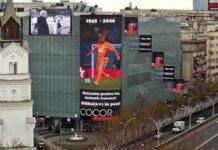 Omagiu pentru Mircea Lucescu în centrul Bucureștiului omagiu-pentru-mircea-lucescu-in-centrul-bucurestiului