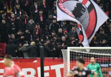 Rebranding la Dinamo: noua siglă a generat reacții negative din partea fanilor rebranding-cu-scandal-la-dinamo:-noua-sigla-a-starnit-un-val-de-reactii-dure-din-partea-fanilor