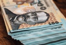Țara europeană cu cele mai mari investiții în România, peste 25 miliarde euro tara-cu-cele-mai-mari-investitii-in-romania.-statul-european-a-adus-peste-25-de-miliarde-de-euro-si-a-creat-mii-de-locuri-de-munca