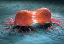 Termometru cuantic măsoară temperaturi din celulele canceroase, o descoperire importantă termometrul-cuantic-care-citeste-temperatura-din-celulele-canceroase:-descoperirea-ce-poate-schimba-cercetarea-bolilor