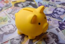 Românii economisesc lunar în timpul crizei economice, potrivit mărturiei cum-reusesc-romanii-sa-economiseasca-in-plina-criza-economica:-„m-a-palmuit-realitatea”.-ce-sume-pun-deoparte-lunar