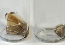 A fost inventat plasticul autodistrugător care se degradează în șase zile a-fost-inventat-plasticul-care-se-autodistruge-la-comanda.-dispare-in-sase-zile,-fara-sa-lase-urme-de-microplastice