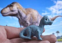 Uriașul cu gât lung din Thailanda avea 27 de metri, ultimul titan al regiunii ultimul-titan-al-thailandei-rescrie-istoria-dinozaurilor-din-asia-de-sud-est:-uriasul-cu-gat-lung-avea-27-de-metri
