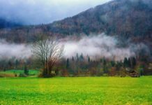 Ceața conține milioane de bacterii care elimină poluanți, arată cercetările ceata-nu-este-deloc-goala.-cercetatorii-au-descoperit-milioane-de-bacterii-care-traiesc-in-aer-si-elimina-poluanti