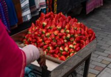 Prețul kilogramului de căpșuni în Piața Rahova în mai 2026 cat-costa-kilogramul-de-capsuni-in-piata-rahova-in-mai-2026.-este-cea-mai-ieftina-piata-din-bucuresti