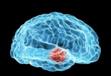 Cercetători au identificat o proteină-cheie care poate încetini Parkinsonul o-descoperire-noua-ar-putea-incetini-boala-parkinson:-cercetatorii-au-identificat-o-proteina-cheie-implicata-in-raspandirea-bolii