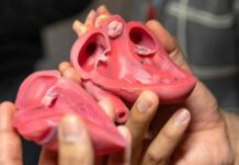 Efectele exercițiilor fizice asupra firelor care controlează ritmul cardiac exercitiile-fizice-schimba-inima-intr-un-mod-neasteptat:-ce-au-descoperit-cercetatorii-despre-firele-care-ii-controleaza-ritmul