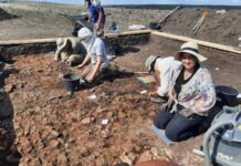 Descoperire în Botoșani: megastructură de 350 mp despre comunitățile preistorice descoperire-uriasa-in-botosani:-o-megastructura-de-350-de-metri-patrati-schimba-ce-stim-despre-comunitatile-preistorice