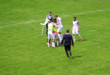 CS Dinamo retrogradează după un sezon în Liga 2 la Șelimbăr selimbar-ramane-in-liga-2!-cs-dinamo-retrogradeaza-dupa-primul-sezon-in-esalonul-secund
