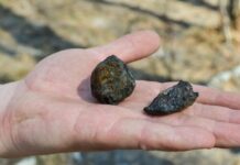 Descoperire în Australia: meteorit aduce praf de stele mai vechi decât Soarele meteoritul-care-a-adus-pe-pamant-praf-de-stele-mai-vechi-decat-soarele:-descoperirea-incredibila-din-australia
