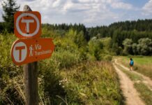MedLife devine partener în proiectul Via Transilvanica medlife-devine-partener-de-sanatate-si-wellbeing-in-proiectul-via-transilvanica,-drumul-care-uneste