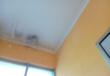 Cine achită despăgubirile dacă tavanul cade din cauza vecinului cine-plateste-daca-iti-cade-tavanul-din-cauza-vecinului.-regula-pe-care-putini-proprietari-o-stiu