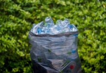 Bărbatul a câștigat 400 de zloti după reciclarea a 8.000 de sticle în opt ore cati-bani-a-facut-un-barbat-dupa-ce-a-reciclat-8000-de-sticle-in-doar-opt-ore.-record-incredibil-la-reciclare,-in-polonia