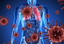 Celule cerebrale umane cultivate în laborator au învățat să joace Doom niste-celule-cerebrale-umane-crescute-in-laborator-au-invatat-sa-joace-doom.-cercetatorii-spun-ca-abia-acum-incep-sa-descopere-ce-pot-face