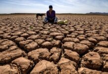 Meteorologii avertizează asupra formării fenomenului El Niño în 2023 meteorologii-avertizeaza:-fenomenul-el-nino-se-formeaza-din-nou-si-ar-putea-lovi-planeta-anul-acesta