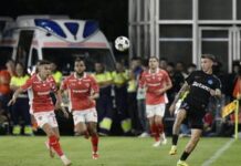 Există șanse pentru Dinamo după ultimul sezon: obiective de podium și cupă exista-viitor-si-dupa-ultimul-sezon-al-lui-dinamo:-poate-au-invatat.-macar-podium-si-castigarea-cupei