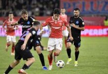 Dinamo, amendată de FRF la două săptămâni de la finalizarea sezonului dinamo,-amendata-de-frf-la-doua-saptamani-de-la-incheierea-sezonului
