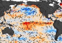 El Niño revine, avertizează climatologii asupra riscurilor de temperaturi record și fenomene extreme el-nino-revine-in-forta.-climatologii-avertizeaza-ca-lumea-s-ar-putea-confrunta-cu-temperaturi-record,-seceta-si-inundatii