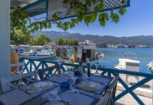 Costul meselor la tavernă în Grecia în 2026 pentru români în Thassos cat-costa-sa-mananci-la-taverna-in-grecia-in-2026.-nota-reala-pe-care-o-platesc-romanii-in-thassos