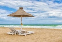 Bacteria devoratoare din Marea Neagră se înmulțește rapid, avertizează autoritățile cum-functioneaza-bacteria-devoratoare-care-se-inmulteste-rapid-in-marea-neagra.-tot-ce-trebuie-sa-stie-turistii-de-pe-litoralul-romanesc