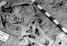 Cea mai veche epidemie de ciumă descoperită în Siberia, acum 5.500 de ani cea-mai-veche-epidemie-de-ciuma-cunoscuta-a-fost-descoperita-in-siberia:-boala-lovea-mai-ales-copiii-acum-5.500-de-ani