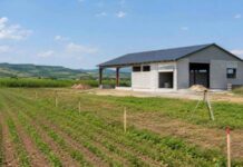 Lege nouă pentru construcțiile pe terenuri agricole, posibilitate de legalizare lege-noua-pentru-constructiile-ridicate-pe-terenuri-agricole.-cum-ar-putea-intra-in-legalitate