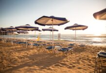 Controale pe litoralul bulgăresc din cauza scumpirilor la șezlonguri și restaurante controale-pe-litoralul-bulgaresc-dupa-plangerile-privind-scumpirile.-sunt-verificate-sezlongurile,-umbrelele-si-restaurantele