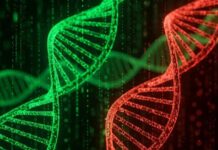 Oamenii de știință au încărcat un genom complet într-un computer cuantic premiera-mondiala-in-genetica:-oamenii-de-stiinta-au-incarcat-un-genom-complet-intr-un-computer-cuantic