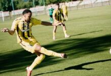 Dinamo și Motor Lublin joacă al doilea amical al verii live-dinamo-–-motor-lublin,-al-doilea-amical-al-verii-pentru-caini