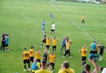 21 de echipe promovează în Liga 3, trei au promovat la masa verde cele-21-de-echipe-promovate-in-liga-3-trei-echipe-si-au-castigat-dreptul-la-masa-verde