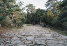 Romanii construiau drumuri drepte cu balize și instrumentul groma acum 2.000 de ani cum-construiau-romanii-drumuri-perfect-drepte-acum-2.000-de-ani:-metoda-ingenioasa-cu-balize-si-instrumentul-groma