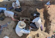 Arheologi din Spania au descoperit o comoară de bronz de 2.500 de ani comoara-de-bronz-veche-de-2500-de-ani-care-rescrie-istoria-mediteranei.-descoperirea-rara-facuta-de-arheologi-in-spania
