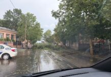 RO-ALERT, în centrul controverselor după codul roșu din București ro-alert,-din-nou-in-centrul-controverselor-dupa-codul-rosu-din-bucuresti.-ce-spun-romanii:-„nu-toata-lumea-era-in-casa-cand-a-inceput-furtuna”