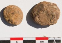 Descoperire rară în Peru: cartofi de 500 de ani găsiți într-un depozit cartofii-de-500-de-ani-care-au-hranit-imperiul-incas:-descoperirea-rara-facuta-intr-un-depozit-din-peru