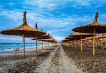 Riscul de contact cu bacteria Vibrio în Marea Neagră variază în funcție de sezon cand-este-mai-mare-riscul-de-a-intra-in-contact-cu-bacteria-vibrio-in-marea-neagra.-explicatiile-specialistilor-despre-„bacteria-mancatoare-de-carne”