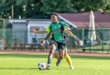 Rezultate amicale FC Argeș, Corvinul și FC Voluntari de astăzi rezultatele-obtinute-de-fc-arges-si-nou-promovatele-corvinul-si-fc-voluntari-in-amicalele-de-astazi