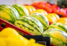 Secrete pentru alegerea pepenilor copți și proaspeți din supermarket semnele-care-arata-ca-pepenii-din-supermarket-sunt-copti-si-proaspeti.-la-ce-sa-fii-atent-cand-ii-alegi